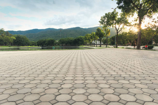Best Concrete Paver Driveway  in Memphis, FL