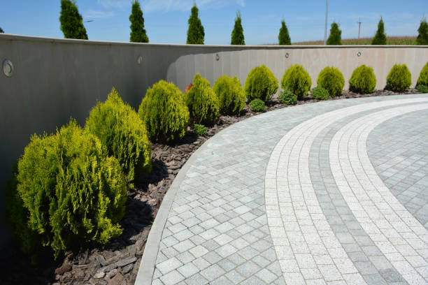 Best Driveway Paving Contractor  in Memphis, FL